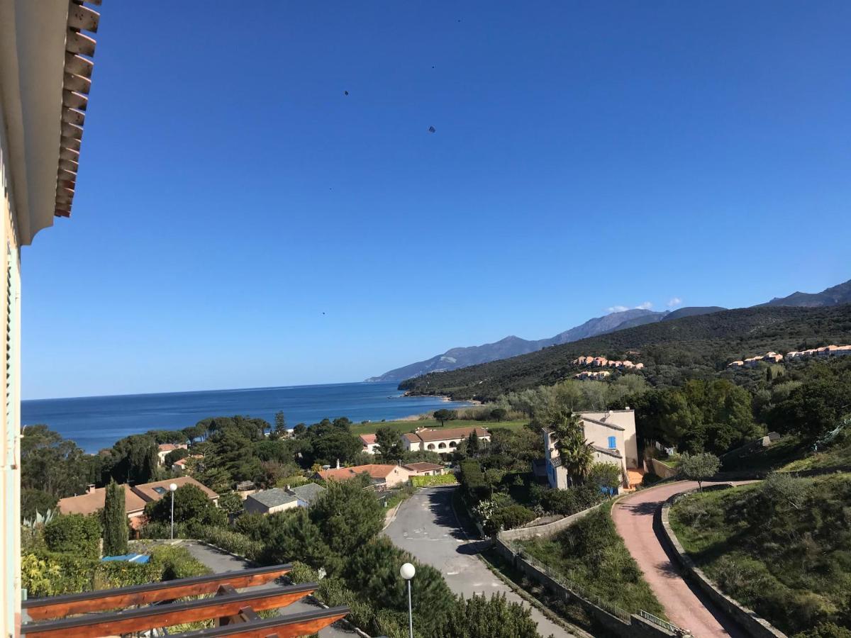 Joli T3 familial proche de la mer Saint-Florent  Eksteriør bilde